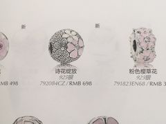 -Pandora潘多拉珠宝(虹口龙之梦店)
