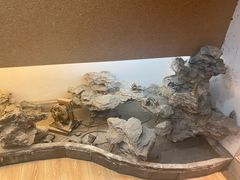 -白兔子密室(长寿路店)