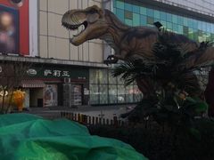-北京华联购物中心(天通苑店)