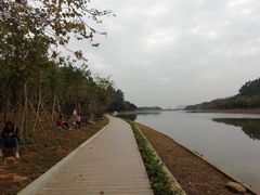 -南国桃园旅游度假区