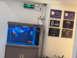 -海涛医疗美容·面部抗衰·注射美鼻