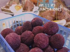 东魁杨梅-盒马鲜生(十里堡店)