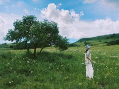 -塞罕坝国家级自然保护区