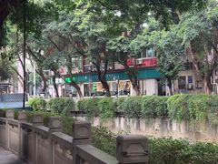 -探窝·竹笙椰子鸡(杨箕店)