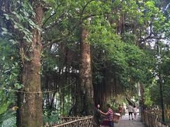 -小洲村