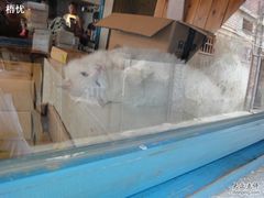 -Babycat私家御饼屋(龙头路一店)