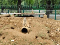 -秦皇岛野生动物园