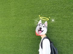 -惠阳站