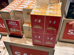 -河内内排国际机场