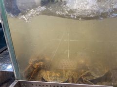 -金滏山烤肉·海鲜·火锅自助餐厅(襄阳万达店)