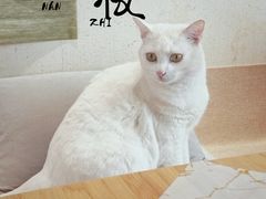 -南枝小馆(银鱼巷店)