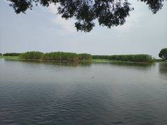 -洪湖生态旅游区