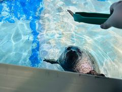 -太平洋海底世界