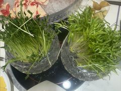-草原传奇鲜羊火锅(桥北店)
