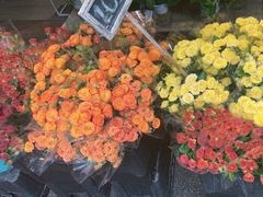 -循礼门鲜花花市(武汉循礼门店)