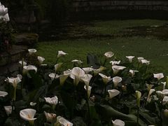 -南山植物园