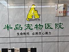 -半岛宠物医院24小时(西派城店)