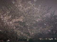 -复旦大学光华楼