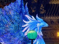 -绿波廊(豫园店)