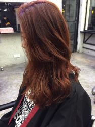 -SALON V