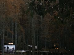 -波尔登森林公园