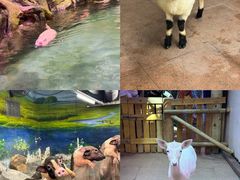 -正佳雨林生态植物园