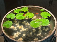 -曲水兰亭(北京四惠店)