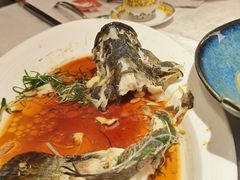 -南海渔村(珠江新城店)