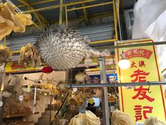 -大澳渔村及棚屋