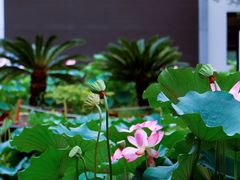 -国家植物园南园