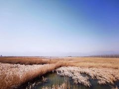 -野鸭湖国家湿地公园