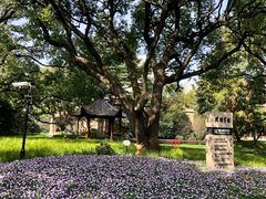 -上海兴国宾馆香樟园西餐厅
