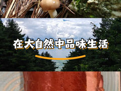 -锦色烤鸭·本地菜(学院路店)