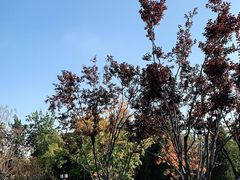 -西海子公园