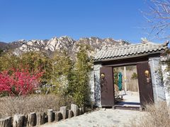 -北京凤凰岭