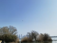 -渤公岛生态公园