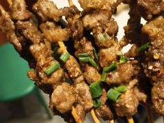 -山野的朋友露营炭火烤肉