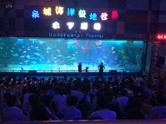 -泉城欧乐堡海洋极地世界