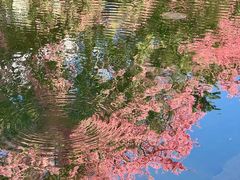 -风云岭森林公园