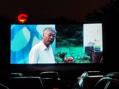 -枫花园汽车电影院(朝阳公园店)