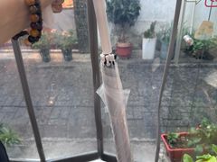 -暮晚尘香汉服旗袍