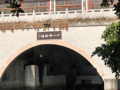 -大湾区中央湿地公园