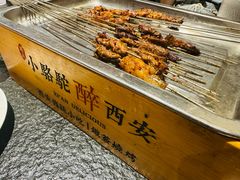 -福苗小骆驼烧烤(曲江店)