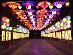 -青岛方特梦幻王国