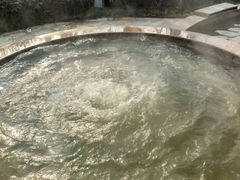 -思念果岭悦温泉