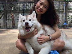 -TrueLove @ Neverland (Husky Cafe)