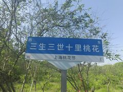 -南汇桃花村