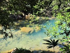 -广州白江湖森林公园