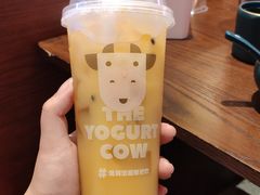 -一只酸奶牛(时代天街A馆店)