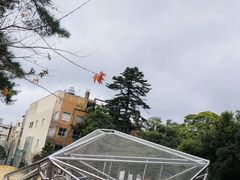 -金泽21世纪美术馆